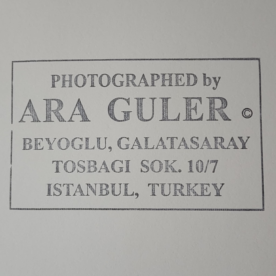 thumbAra Güler